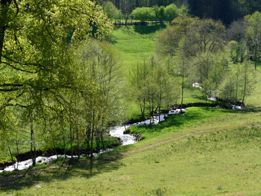 Le pays vert Chanteixois du Puy Maurians aux Zignalets