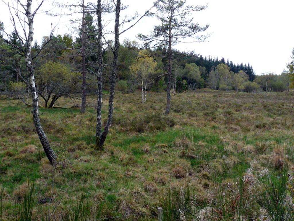 Le toit du Limousin (variante de 17km)