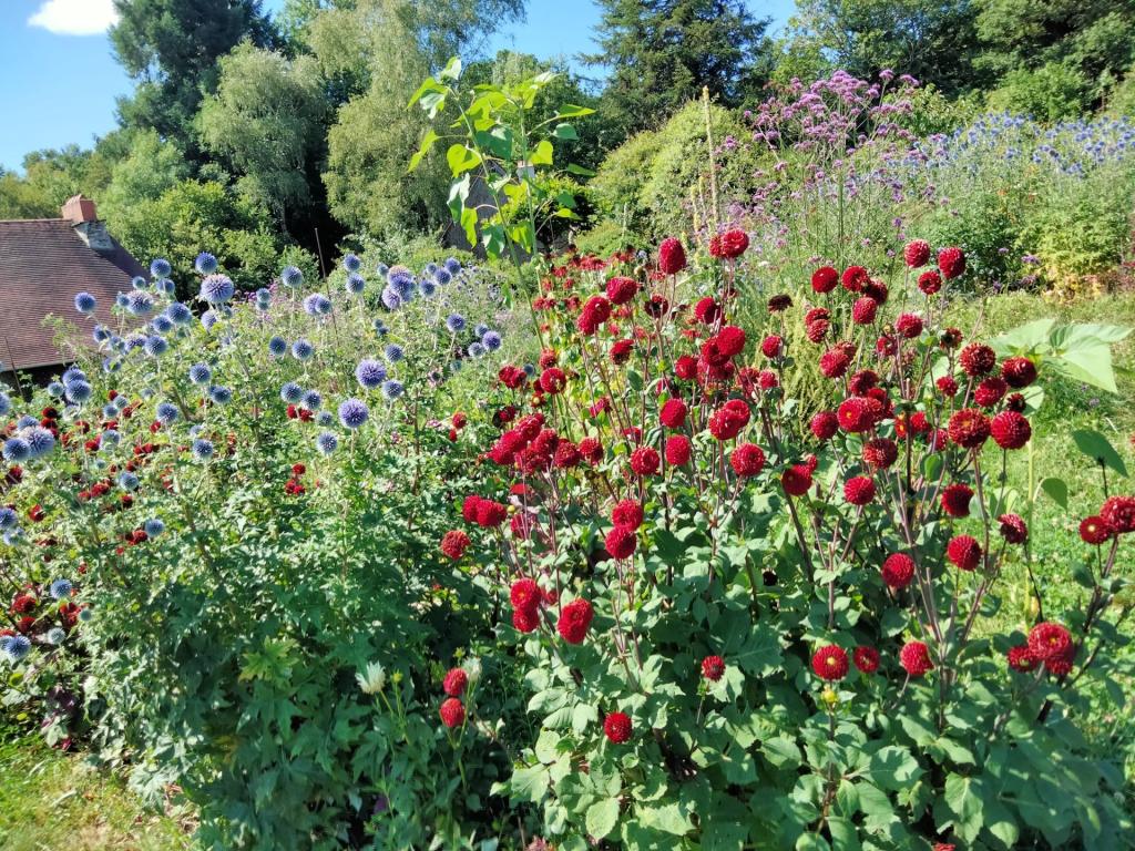 Jardin de Giulio