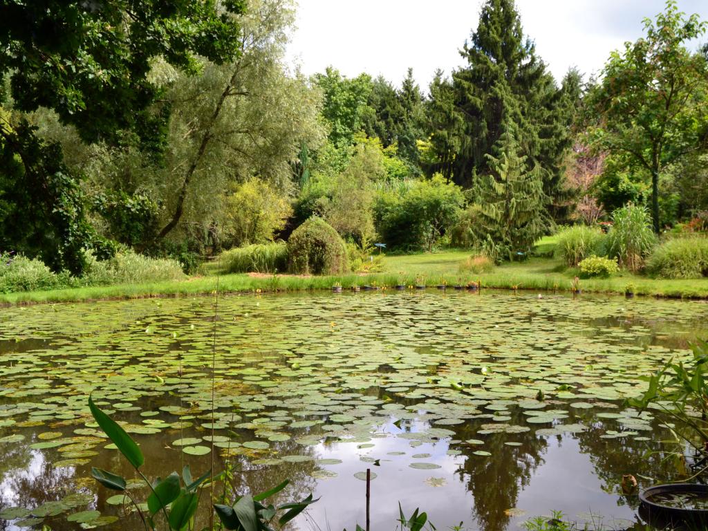 Arboretum Al Gaulhia