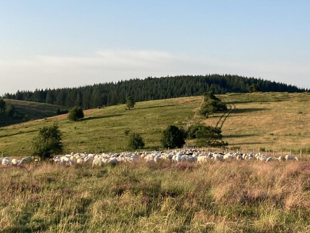 Ferme de la Monédière