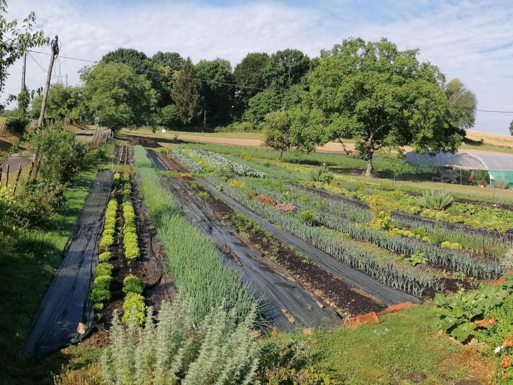 Les Jardin d'Antan