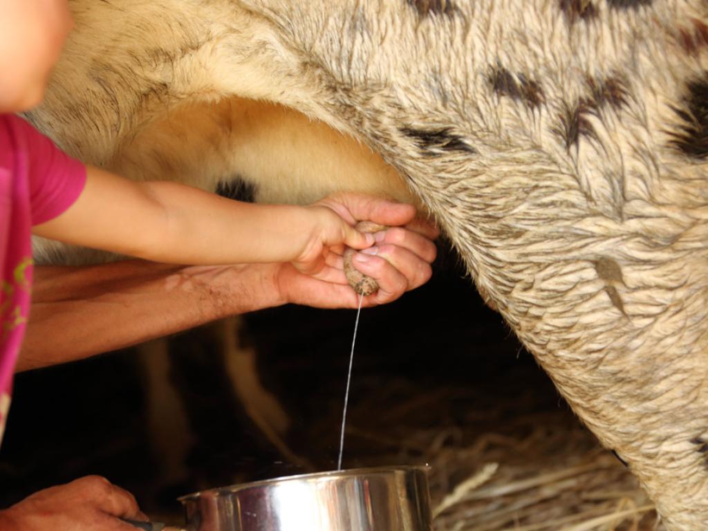 Ferme de Champtiaux