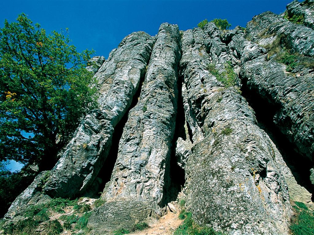 Les Orgues de Bort