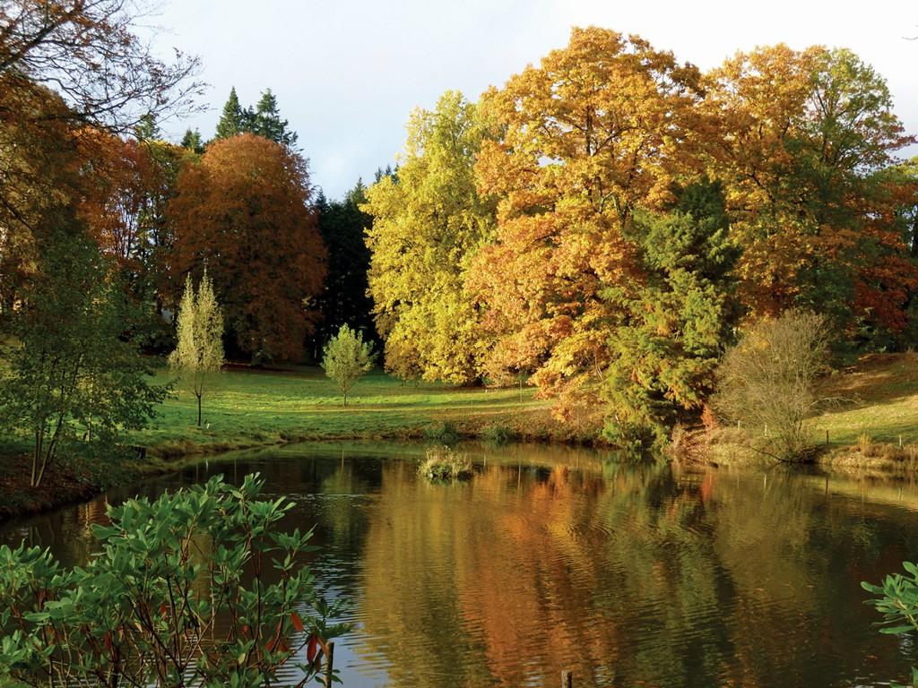 Arboretum du château de Neuvic d'Ussel