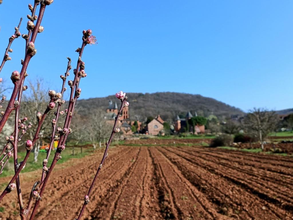 Le Maraîcher