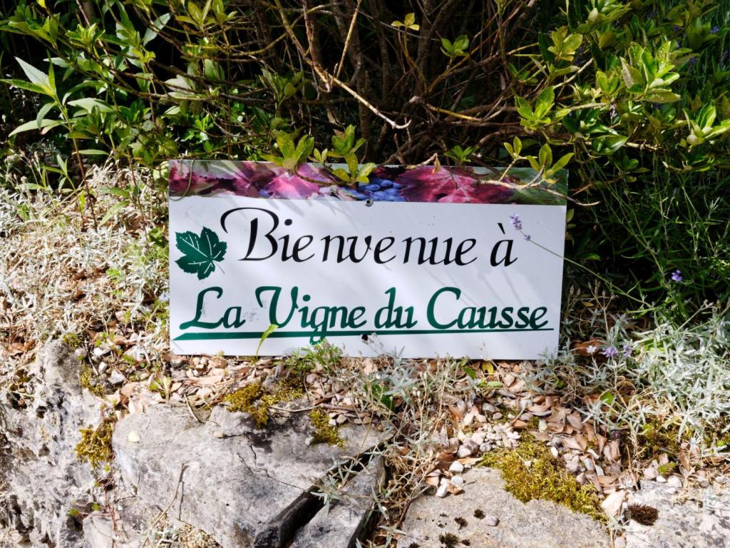 la vigne du causse