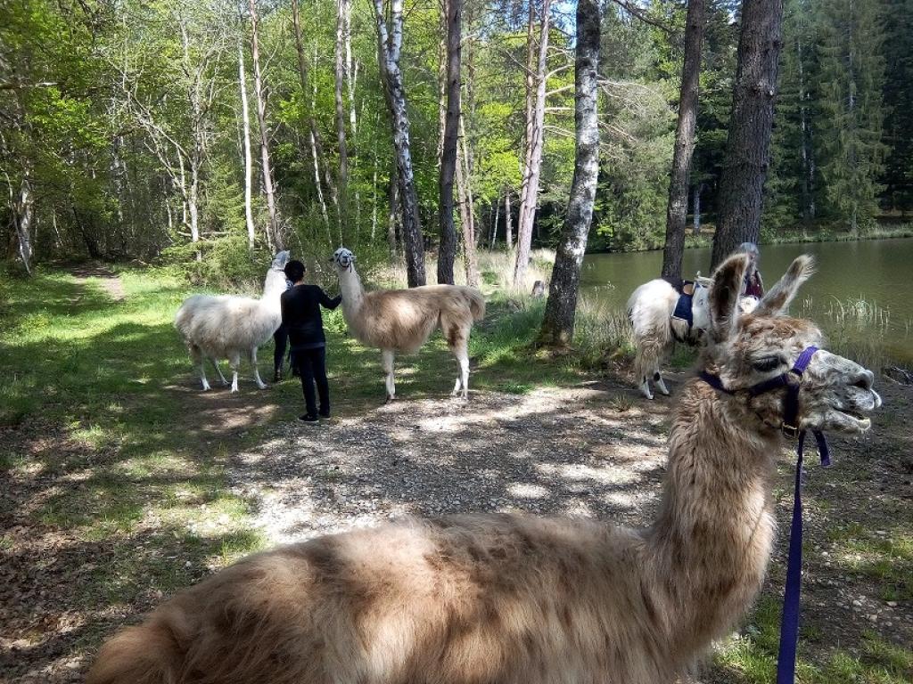 La Ferme de Lama'zière