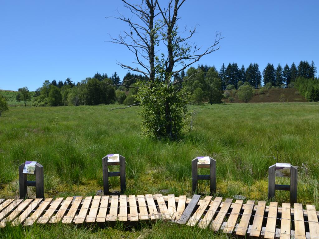 Tourbière du Longeyroux