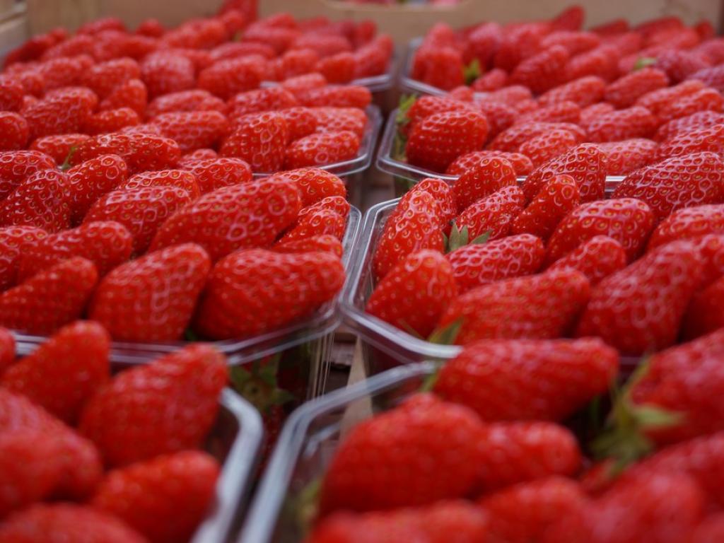 Marché Uzerchois