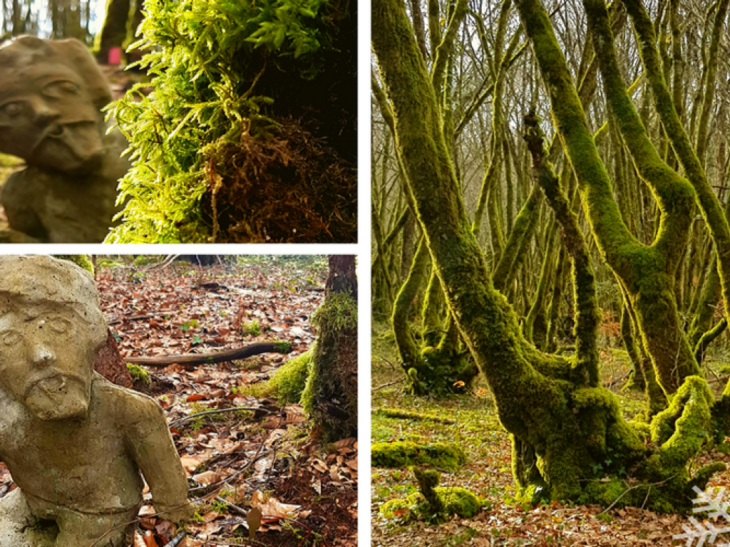 La forêt de Blanchefort