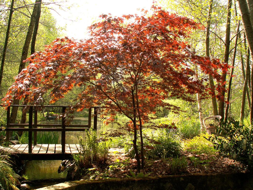 Jardin Grelinette et Pinceaux