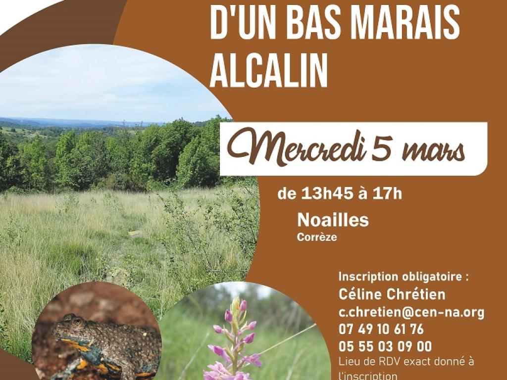 Chantier bénévole : Fauche et débroussaillage d'un bas marais alcalin