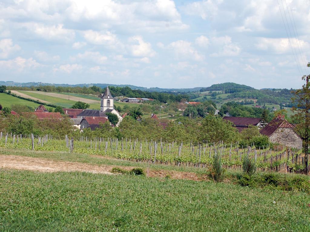 Autour du vignoble