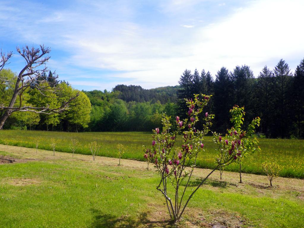 La Grange - Meublé de Tourisme CHASSAGNE