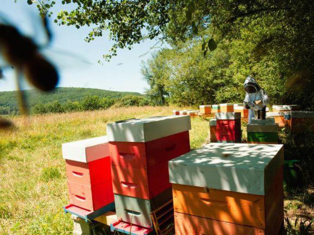 L'Abeille Gaillarde