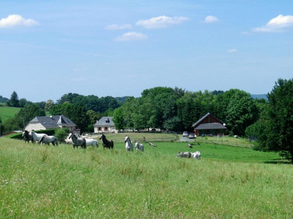 SARL Ferme Équestre du Mialaret - Gîte d'Étape 8 personnes