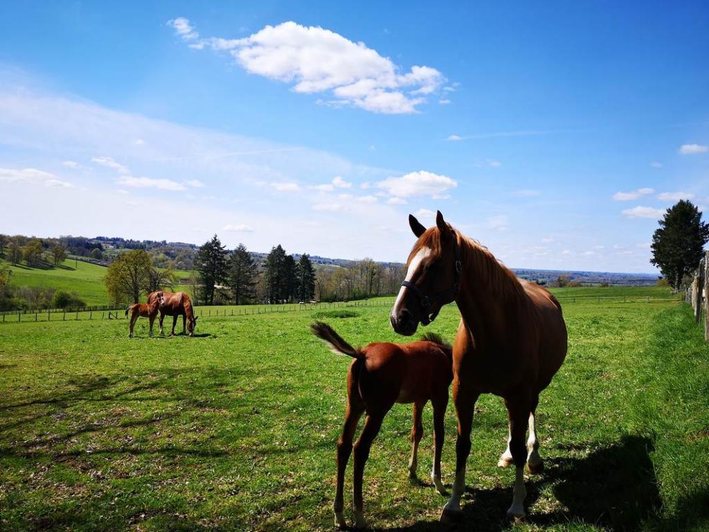 Visite du Domaine de Chignac