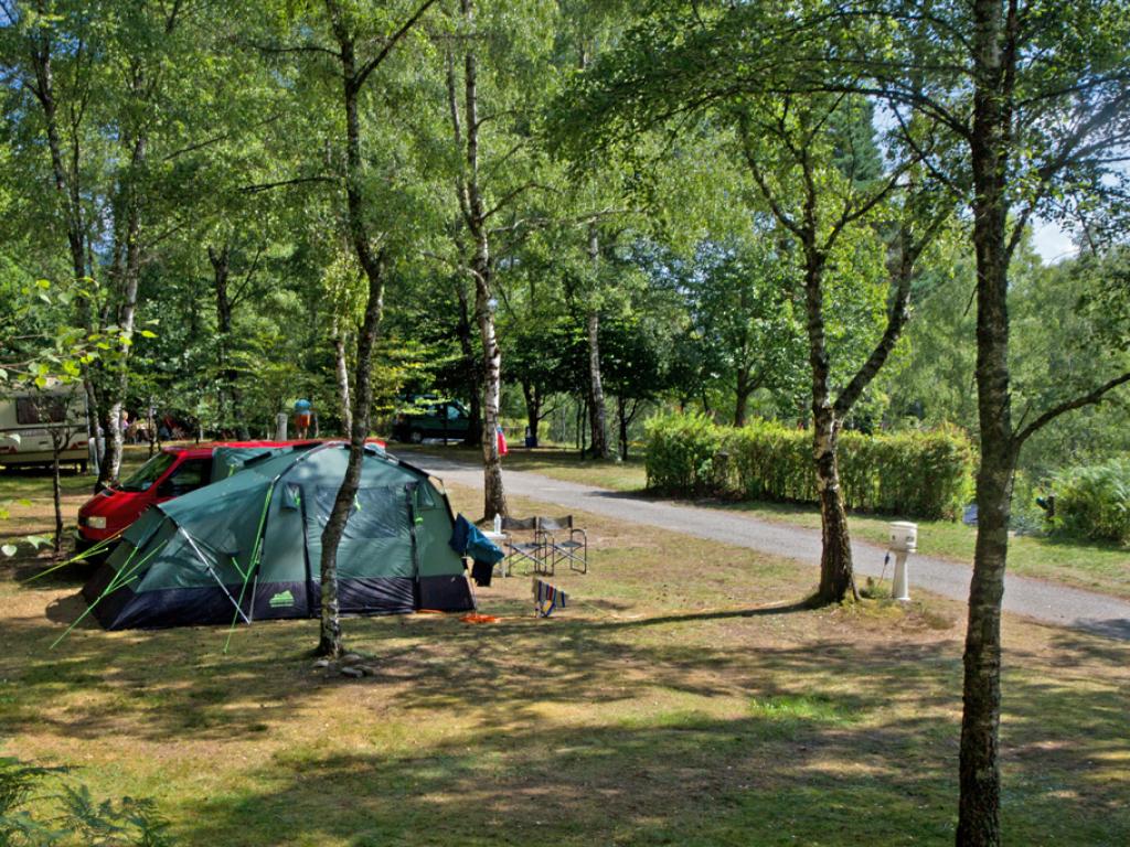 Flower camping la Plage