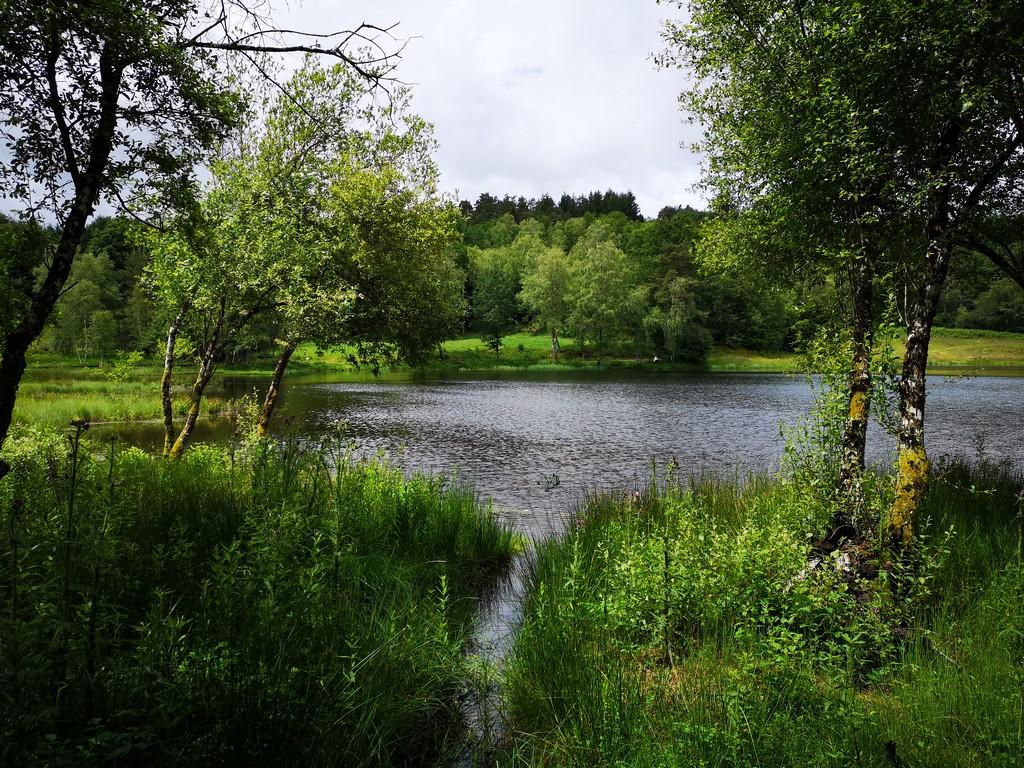 Plan d'eau de l'Enclose