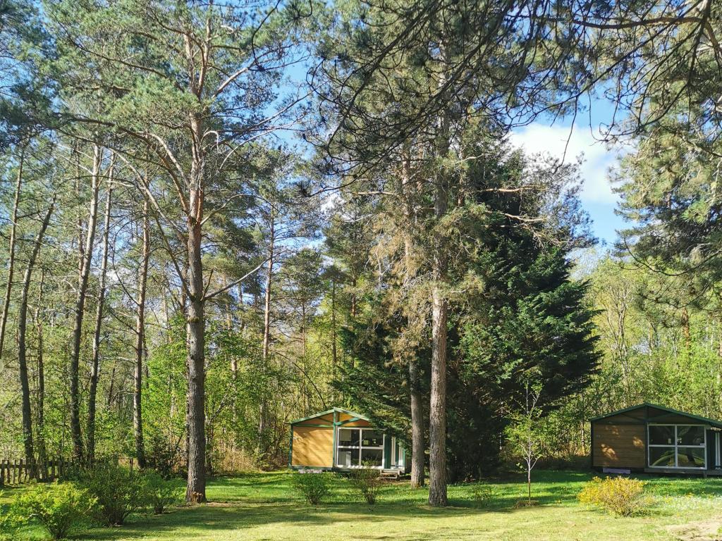 Camping les sapins de Corrèze