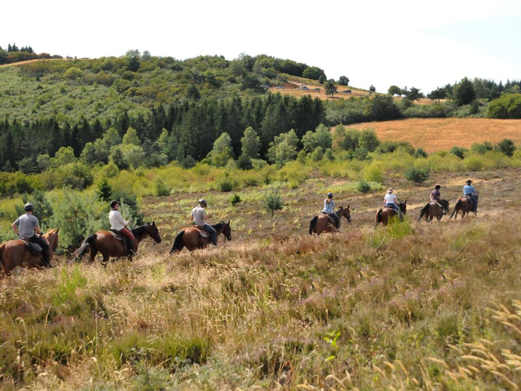 Ferme équestre de Tréphy