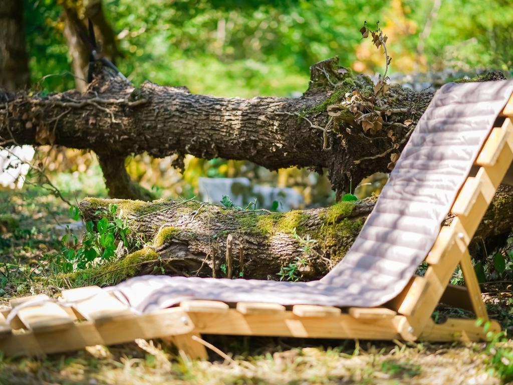 Il était une fois au coeur de nos bois