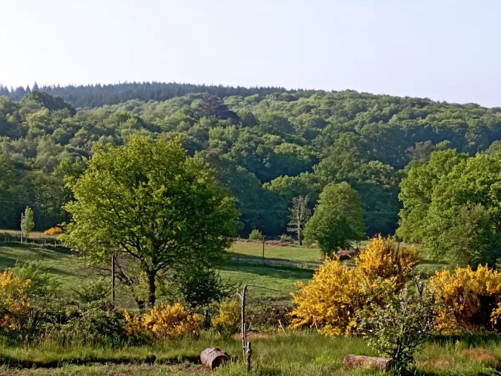 Les chalets de la Vialette