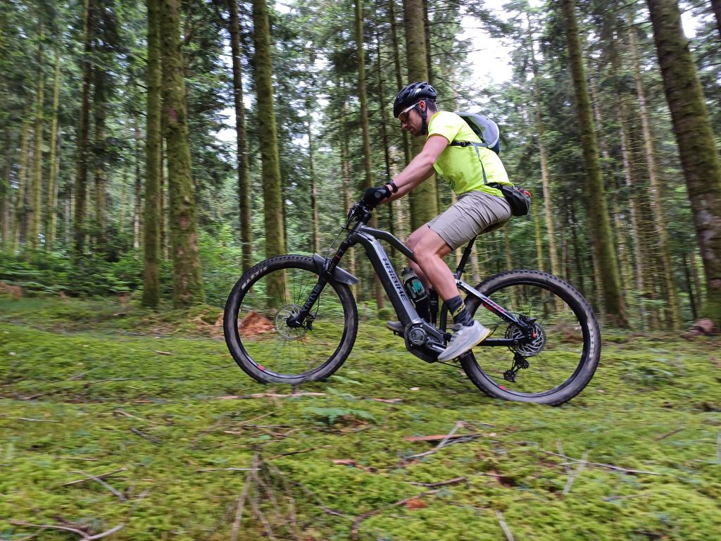 Roue Léo Vert - Location de vélos électriques