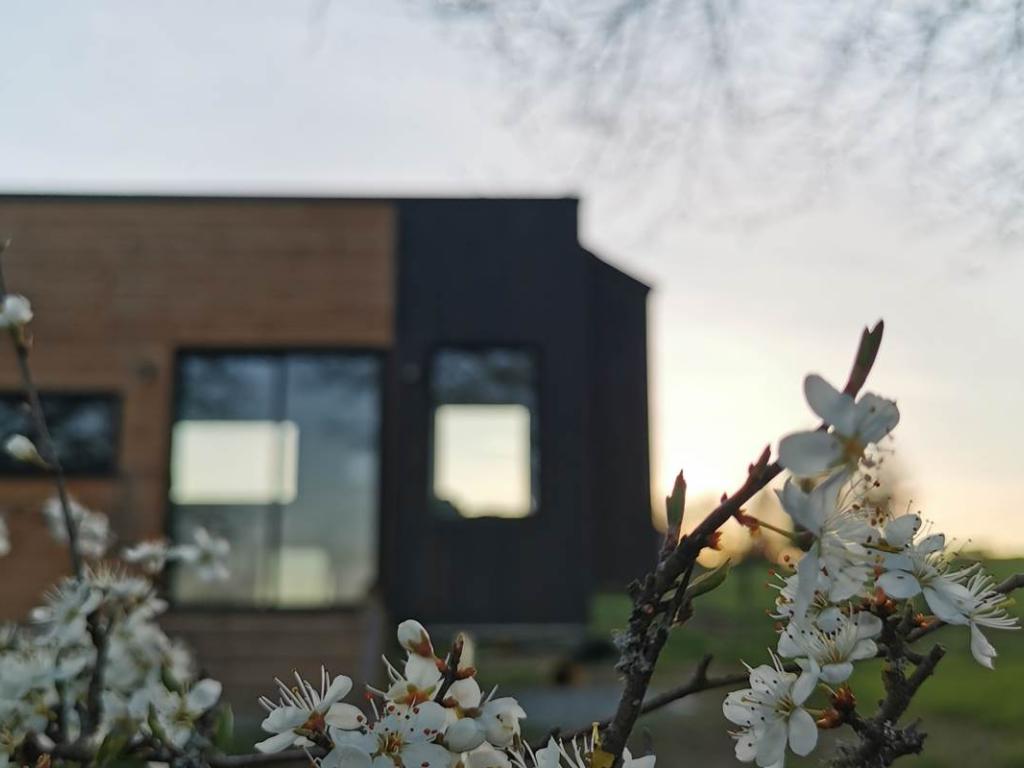 La tiny house des Maisons de Coline