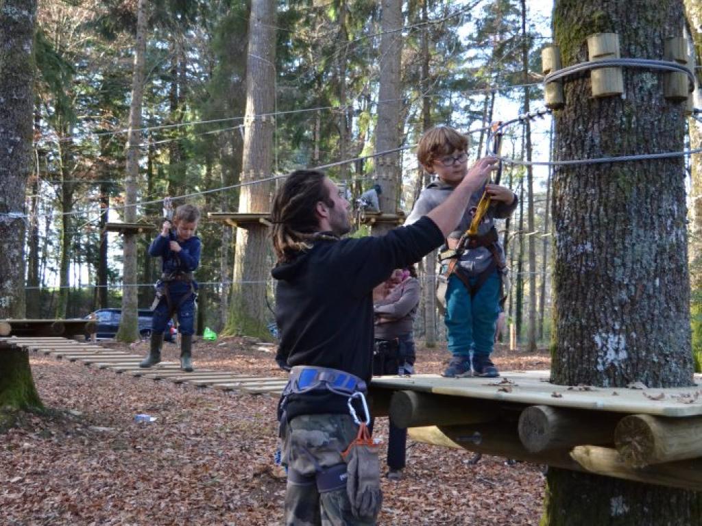 Parcours dans les arbres de la Bitarelle