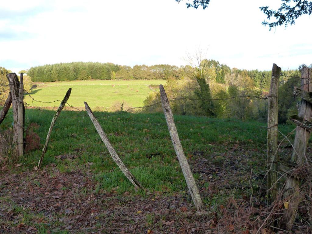 Des vergers aux berges de la Corrèze