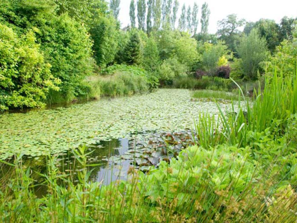 Arboretum de La Tuillière