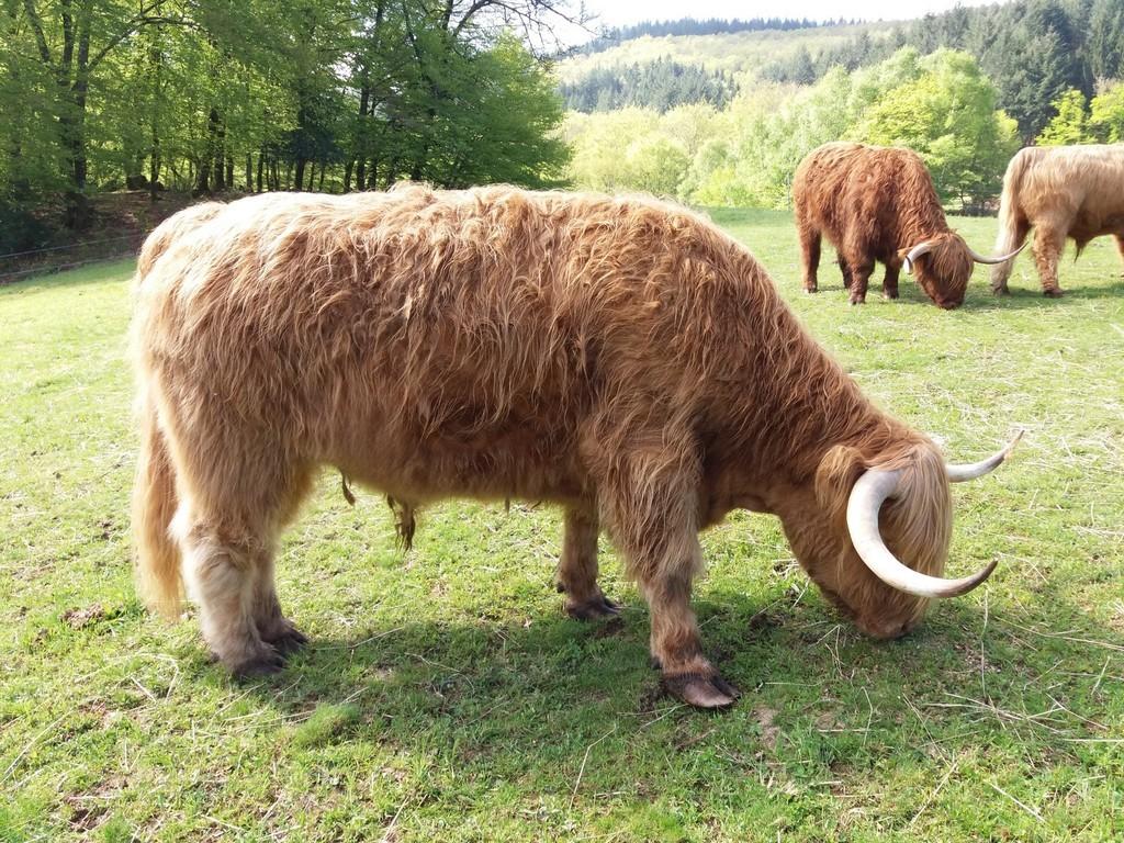 Ferme des Borderies