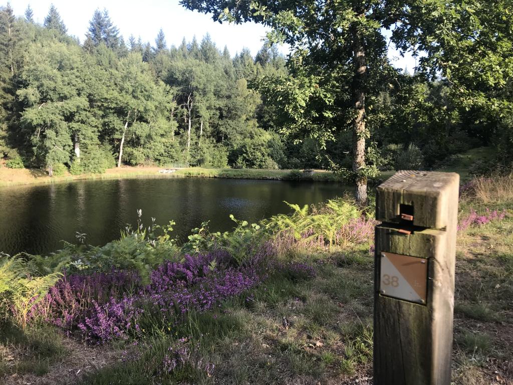 Parcours d'orientation de l'étang des Combeaux