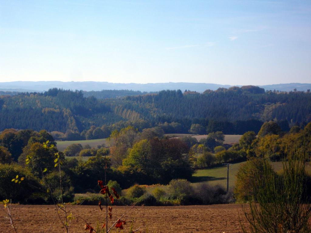 Les Templiers - Version 9 km