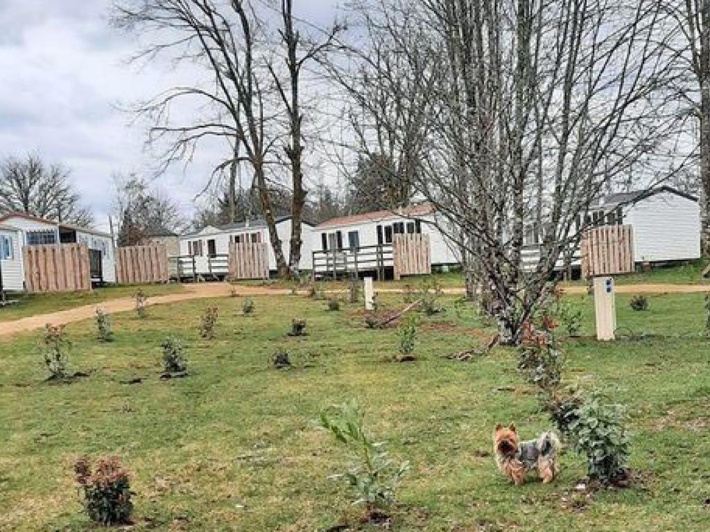 Camping restaurant La petite rivière