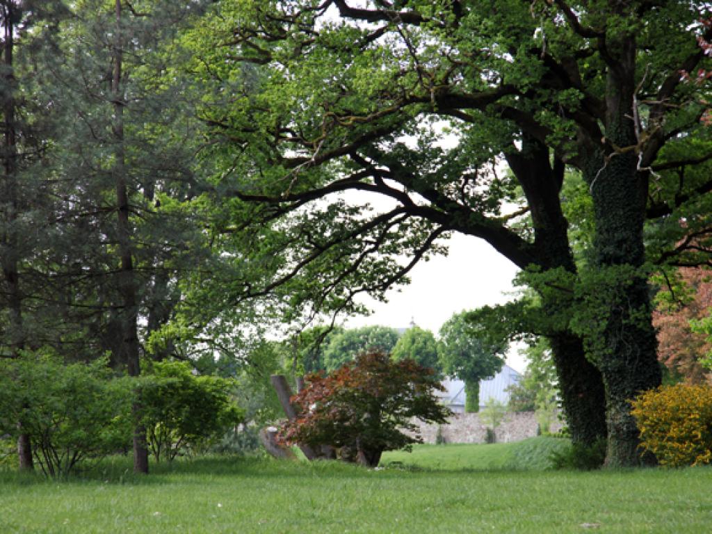 Arboretum du château de Neuvic d'Ussel