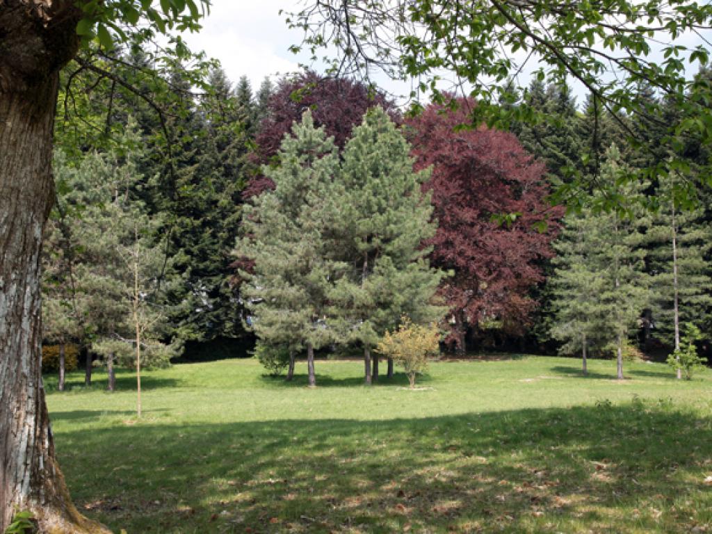 Arboretum du château de Neuvic d'Ussel