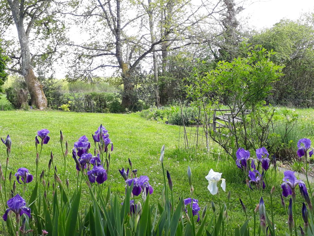 Le Jardin d'Arsac