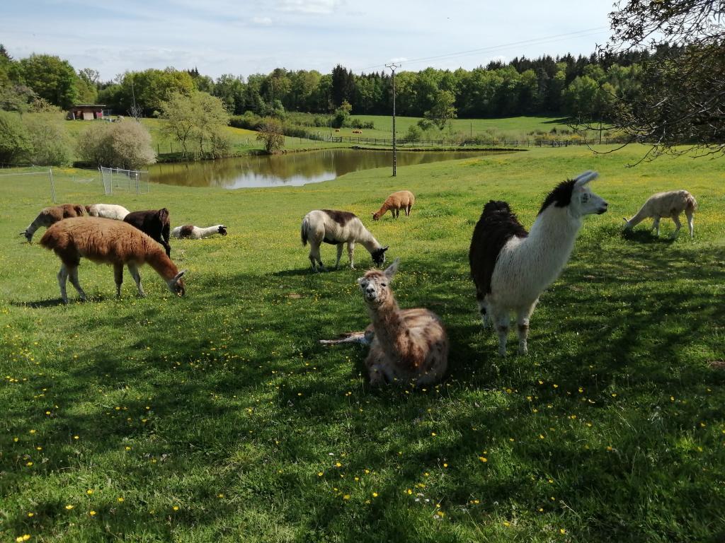 Ferme de Lama'ziere