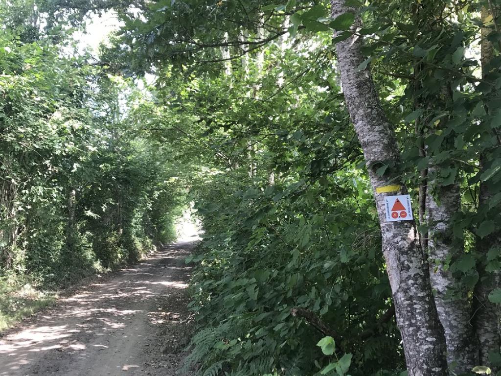 De l'homme et de la nature (variante de 4 km)