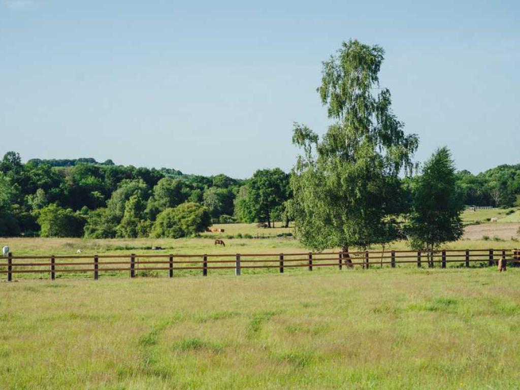 Ranch de Lauzerat