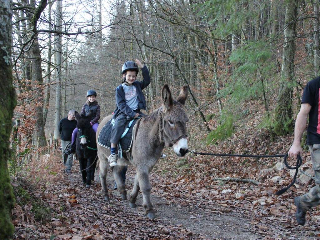 Balades à dos d'âne de la Ferme de Bitarelle