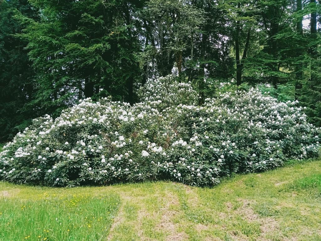 Parc Arboretum de Saint-Setiers