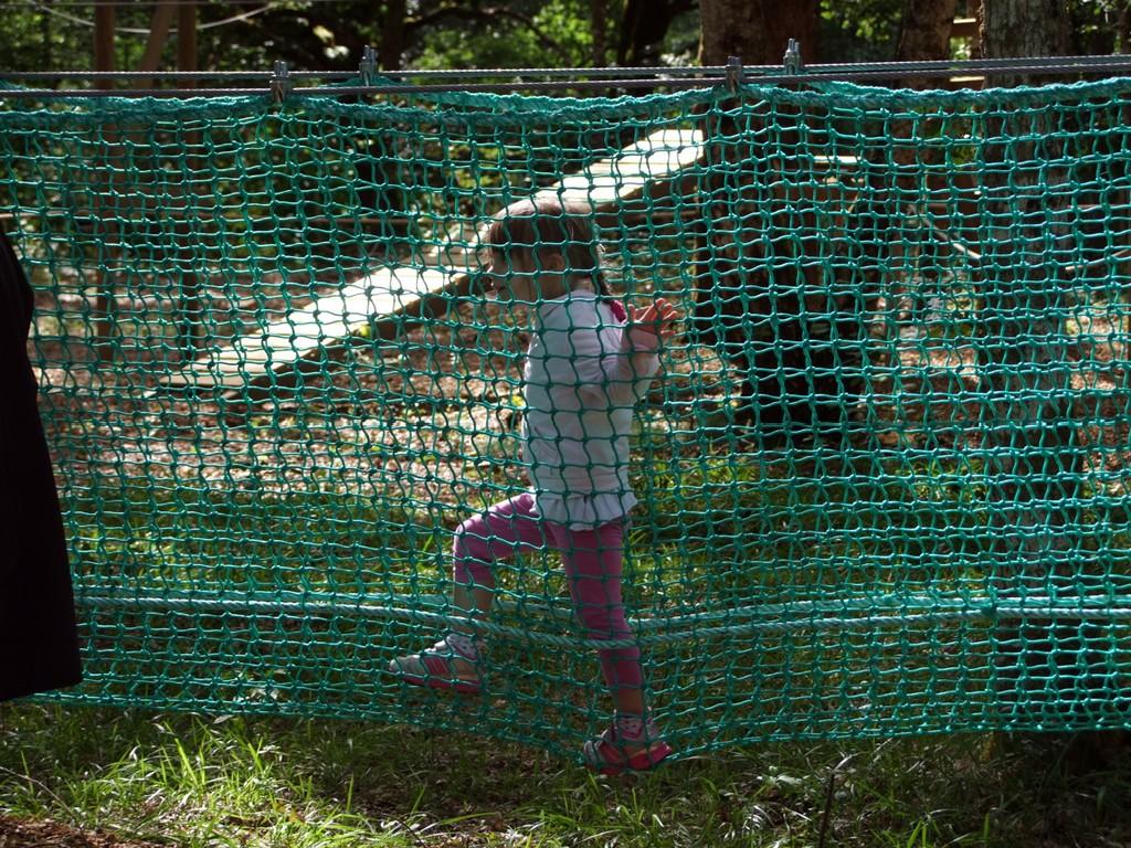 Parc acrobatique dans les arbres Diège Aventures