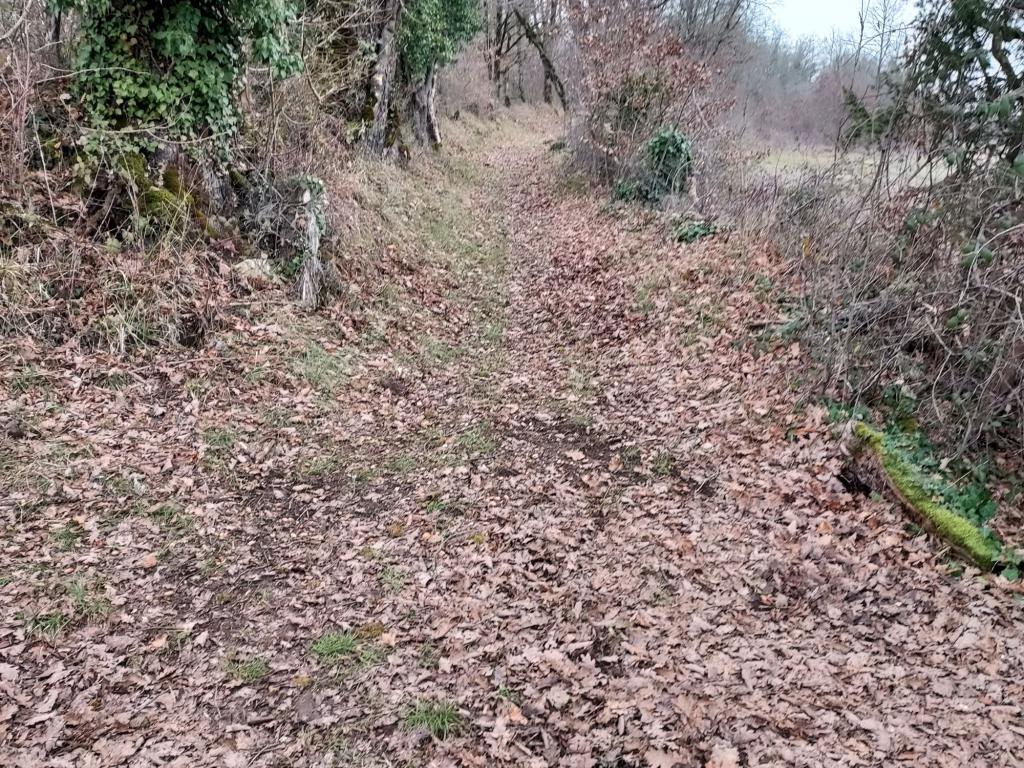 Randonnée Capelloune : 'Sur les traces de Neandertal'