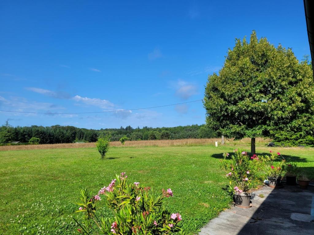 Chambre d'hôtes Les Granges