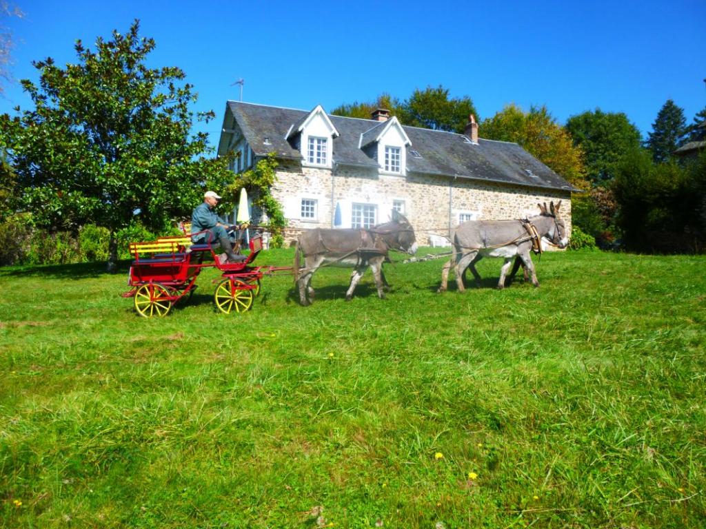 Location Gîtes de France  - Réf : 19G3042