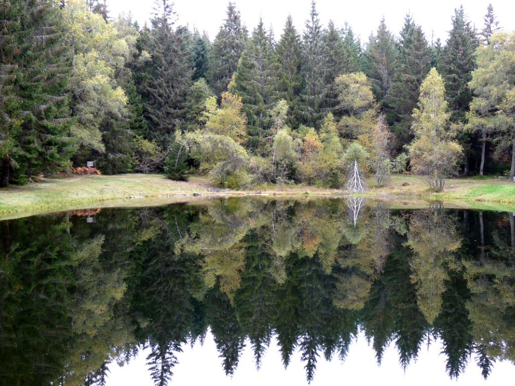 Le toit du Limousin (variante de 17km)